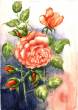 Rose lachsfarben  » Click to zoom ->