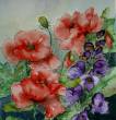 Mohn und Eisenhut  » Click to zoom ->