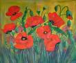 Roter Mohn  » Click to zoom ->