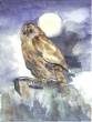 Eule nach F. Marc  » Click to zoom ->