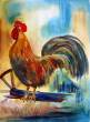 Hahn auf Seide  » Click to zoom ->