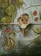 Haselmaus  » Click to zoom ->