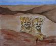 Junge Pumas  » Click to zoom ->