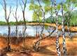 Sager Meer  » Click to zoom ->