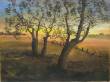 Abendstimmung  » Click to zoom ->
